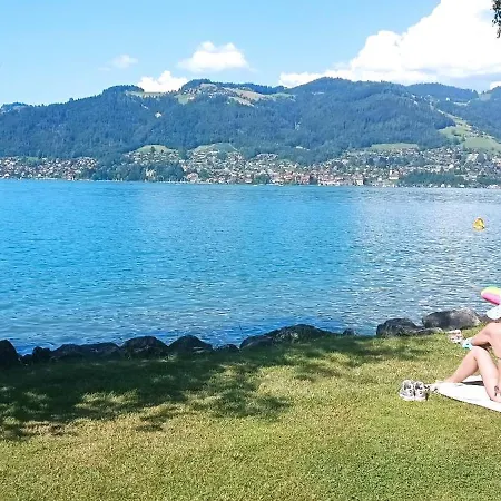 To Rent In Switzerland *